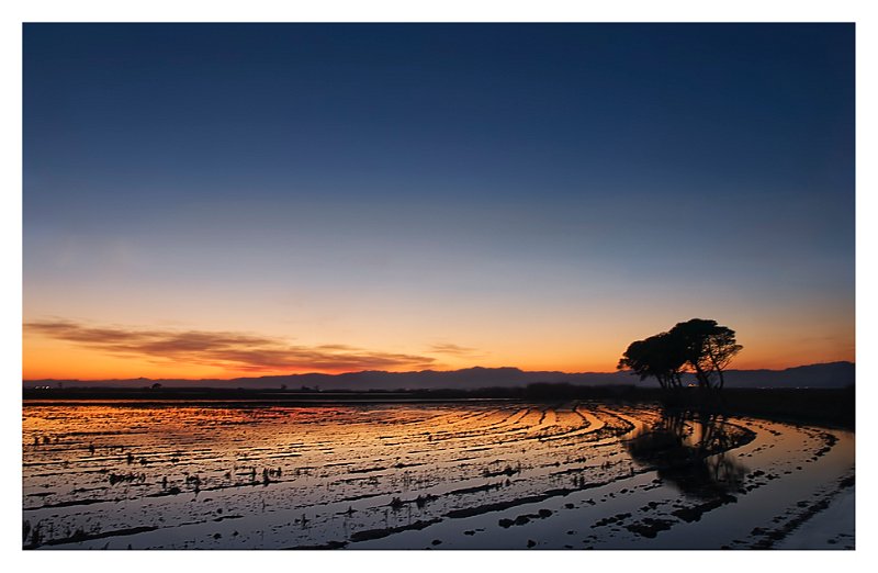 Puesta-de-sol-en-el-delta-del-Ebro-II.jpg - Puesta de sol en el delta del Ebro